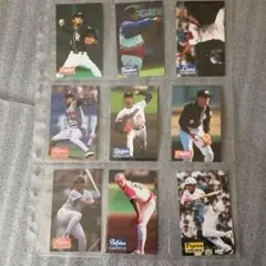 カルビー 1995 プロ野球カード 24枚セット