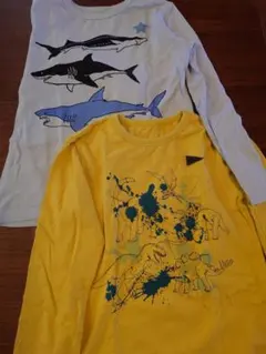 サメと恐竜の長袖Tシャツセット 130　名札用ワッペンあり