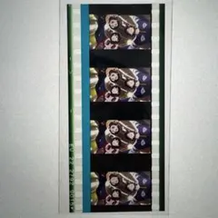 Buster Bros!!! ヒプムビ　ヒプマイ