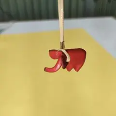 象のストラップ　赤色