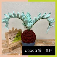 aaaaa様専用【あみぐるみ】 ホリダスのサムネイル