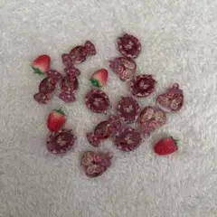 苺 蝶々ビーズ・チャームセット
