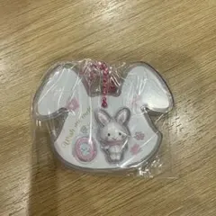 サンリオキャラクターズ パッケージチャーム&チョコボーロウィッシュミーメル　2個