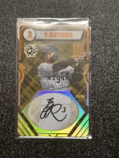 オンサイトカード スポーツカード