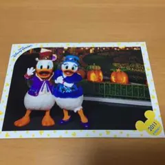 ★ディズニー★2011スペシャルフォト★ドナルド&デイジー