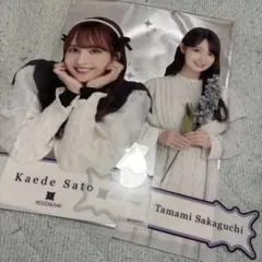 乃木坂46 A4クリアポスター 佐藤楓&阪口珠美【バラ売り可】