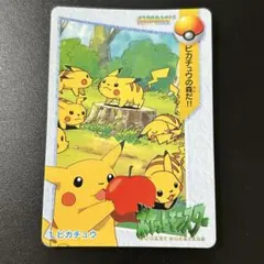 ピカチュウ イントロパック フシギダネマーク 旧裏面 旧裏 no.025 ⓭