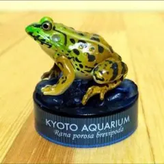 京都水族館 海洋堂 限定ガチャガチャ ナゴヤダルマガエル 2026年最新】京都水族館 海洋堂の人気アイテム - メルカリ