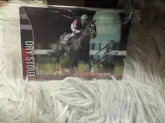 サラブレッドホースコレクション　金箔サイン入り　ドライスタウト