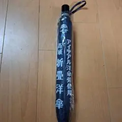 【10/3-5限定値下げ！レトロ傘・アンティーク傘】高級折りたたみ傘 ネイビー