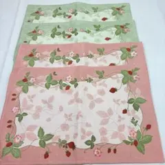 Item thumbnail for item 9475af1a-4d08-45b1-a84e-ef0a87faea29