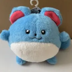 2026年最新】初期 マリル ぬいぐるみtomyの人気アイテム - メルカリ