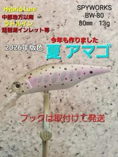 850円均一❗HybridルアーSPYWORKS BW-80 13g 夏アマゴのサムネイル
