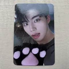 zb1 ゼベワン ゴヌク トレカ ソウルコン ゼロズゾーン zeroseゾーン