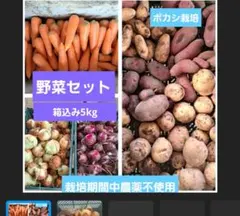 ボカシ栽培の栽培期間中農薬不使用野菜セットのサムネイル