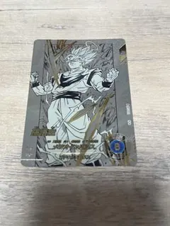 ドラゴンボール スーパーダイバーズ アドバンスパック パラレル APT-002