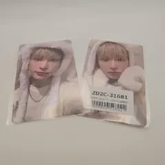 &TEAM 雪明かり ハルア HARUAふわふわアニマルトレカ 2枚セット