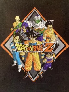 超レア美品 00s ドラゴンボール DRAGONBALL ヴィンテージ TEE
