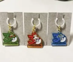 ポケモン 30周年ロゴマスコット ポケチャーム　ヒバニー　サルノリ　ケロマツ