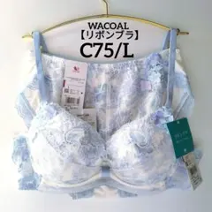 【新品】ワコール《リボンブラ》胸元フィットながもち C75/L
