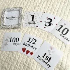 Item thumbnail for item dd271a10-3675-4607-993b-0abf348bd864