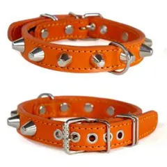 Item thumbnail for item 8087ea52-6aac-43a3-bd88-79ba5d69e5be