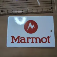 Item thumbnail for item 7cc4f9e5-367c-4d24-be76-41b4c8fcf85f