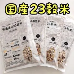 雑穀米本舗　国産 栄養満点23穀米 　400g 4個のサムネイル