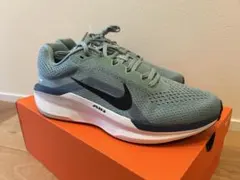 Nike AIR WINflo11 定価13,200円　新品未使用28.5cm