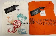 Item thumbnail for item b72822e0-87f0-4f92-996c-06a7627a4df5