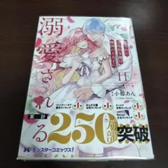 売られた辺境伯令嬢は隣国の王太子に溺愛される