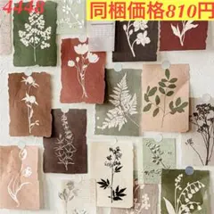レトロ植物花柄コラージュ素材紙 装飾ペーパー 6種120枚 紙間花影シリーズ