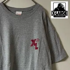 x-large（エクストララージ）XL ロゴTシャツ/L/グレーのサムネイル