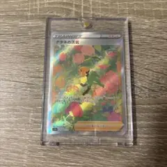 ナタネの活気 SAR ソード&シールド ハイクラスパック VSTARユニバース