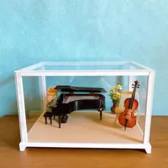 ショーケース ケース