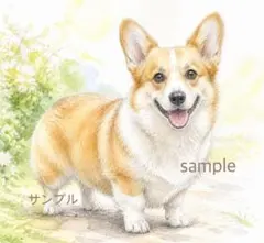 コーギー　水彩画風
