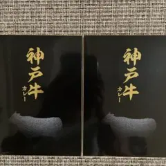 ［神戸牛カレー ］2箱セットのサムネイル