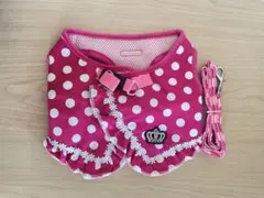 Item thumbnail for item c7841ff5-44bf-40b0-93b6-a5164d509fd6