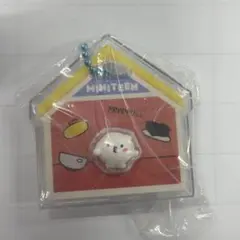 MINITEEN PPYOPULI(SEVENTEEN ウジ)