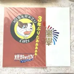 【まとめ売り】木更津キャッツアイ　ワクワク学校　クリアファイル　櫻井翔　嵐