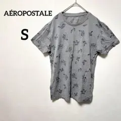 早い者勝ち✨AÉROPOSTALE 【S】葉柄 Tシャツ グレー 夏服 半袖のサムネイル