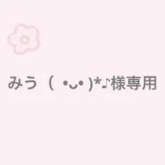みう( •ᴗ•)*♪様専用