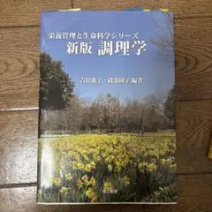 Item thumbnail for item 6c2b6003-37ed-4341-8066-b8414ced4fe6