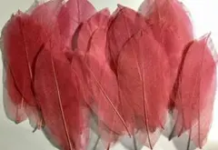 コテツ様 リクエスト 3点 まとめ商品