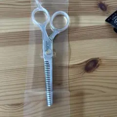 Item thumbnail for item 02bafe10-e8bb-4b8b-bfe8-b7895306d1ed