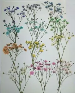 しっぽ様 リクエスト 3点 まとめ商品