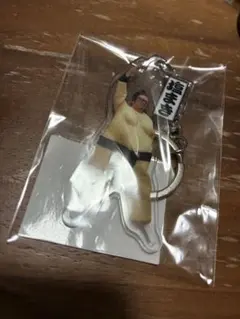 Item thumbnail for item a88a22c1-b95a-413b-8981-a10c7e2108b2