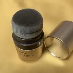 Item thumbnail for item 92dc7acf-1113-42b5-ba9f-07f41ca30cfa