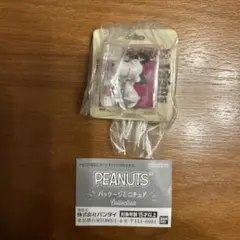 PEANUTS パッケージミニチュアコレクション　ガチャ　スヌーピー 1960s