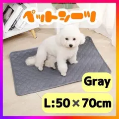 Item thumbnail for item b399b5e1-cd34-4bf7-917a-8e0b08668cea